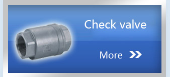 Thread check valve series products